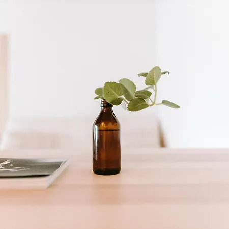 Lägenhet Starak V Historickem Centru Znojma *