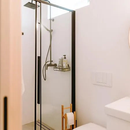 Starak V Historickem Centru Znojma *